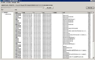計算機網絡管理軟件解析 排名、選擇與免費方案
