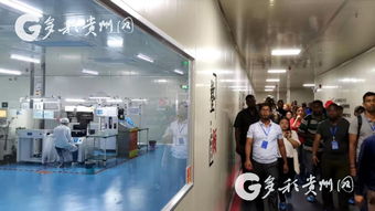 多彩貴州網(wǎng) 21國發(fā)展中國學(xué)員貴州“取經(jīng)” 聚焦計算機(jī)信息技術(shù)研發(fā)新動態(tài)